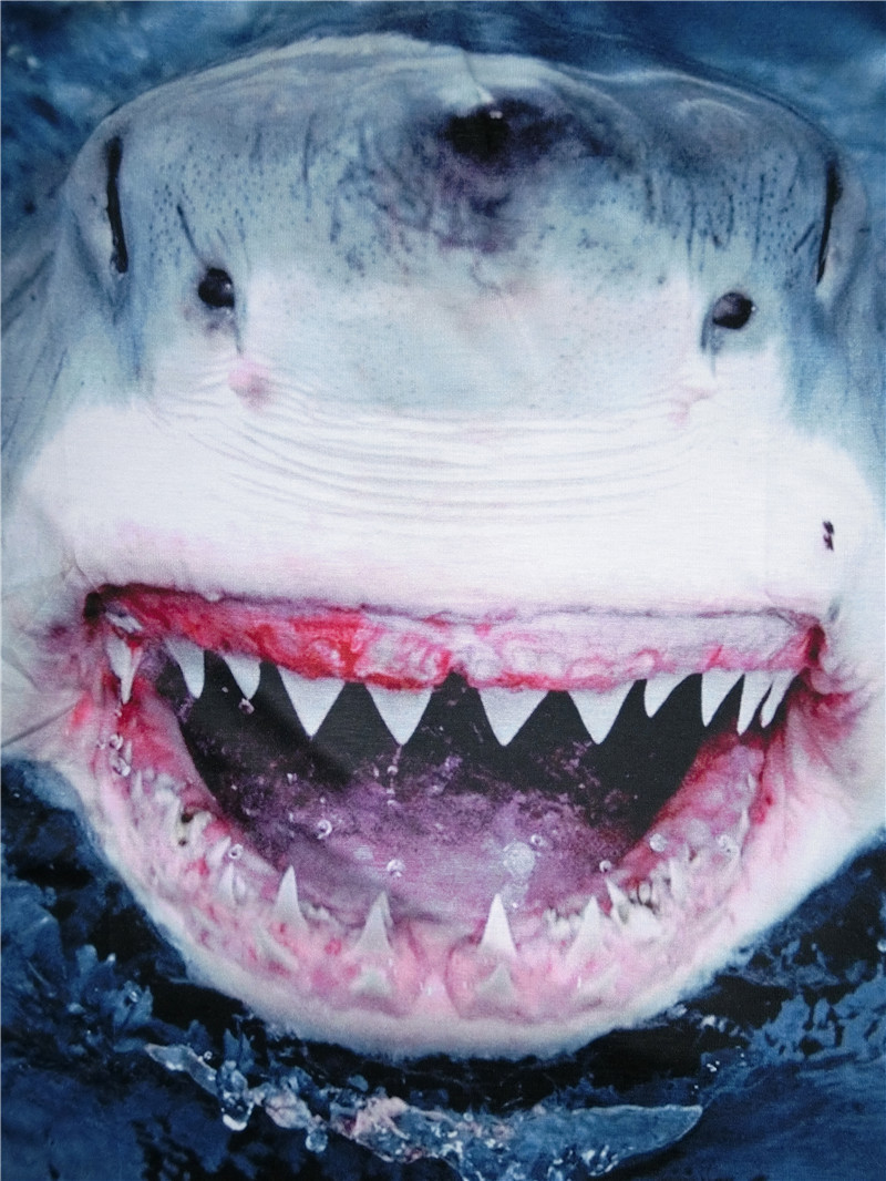 夏季男士短袖t恤韩版圆领大码3dt恤动物鲨鱼图案印花学生半袖