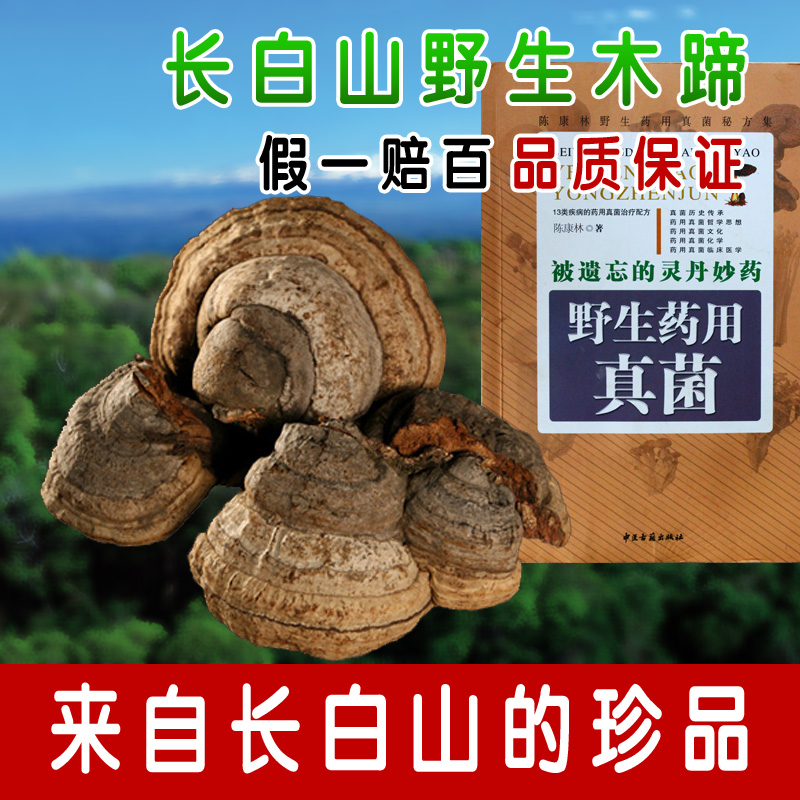 长白山野生木蹄层孔菌 野生木蹄灵芝 正品保证 2件包邮