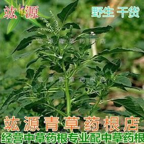 青草药根 正乌山 野生乌多年根 小红蛇根 铁牛入石 核果根 青筋藤