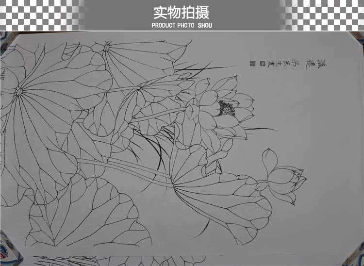 tp6高清工笔画白描打印稿 名家张燕生荷花白描底稿国画初学者线稿