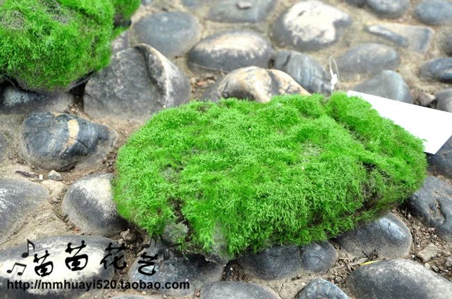 仿真绿植拍摄道具仿真苔藓假石头青苔绿色仿真植物墙材料植物摆件