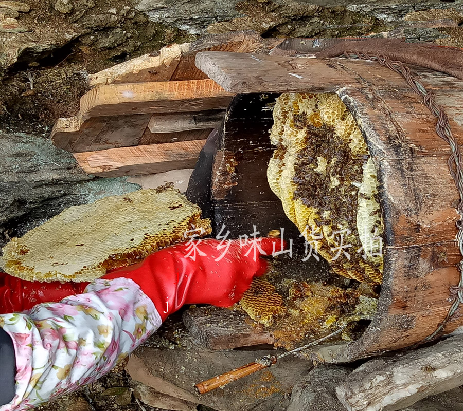 神农架纯野生土蜂蜜深山百花蜜结晶 纯天然成熟蜂巢蜜 新货500克