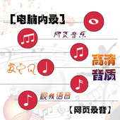 电脑内录外录音软件中文版网络电台录制音频录音声卡内录直播喊麦