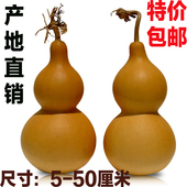 天然葫芦挂件摆件龙头葫芦宝葫芦文玩把玩手捻葫芦特大葫芦真葫芦
