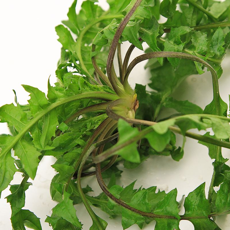 顺丰空运野生新鲜荠菜 地菜 天然野菜荠荠菜新鲜蔬菜现挖现发 4斤