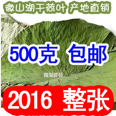 微山湖特级野生新鲜整张干荷叶片 纯天然花草茶剪片可配干冬瓜皮