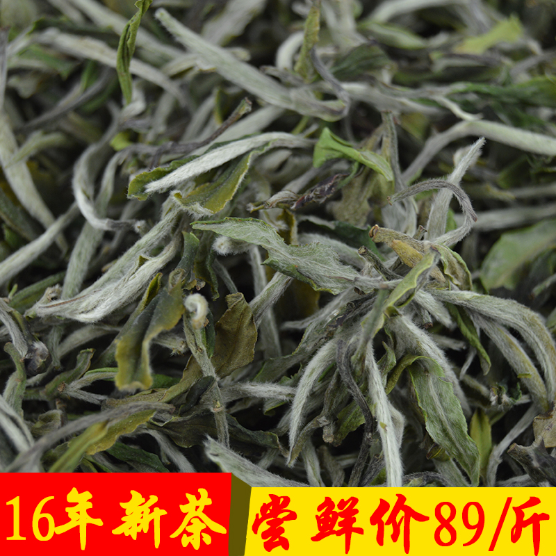 2016年头采春茶白牡丹白毫银针散装福鼎白茶散茶茶叶批发500g包邮