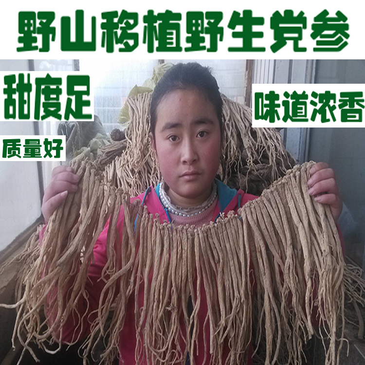 甘肃农家无硫中药材党参批 发500克包邮新货党参特级无硫切片打粉