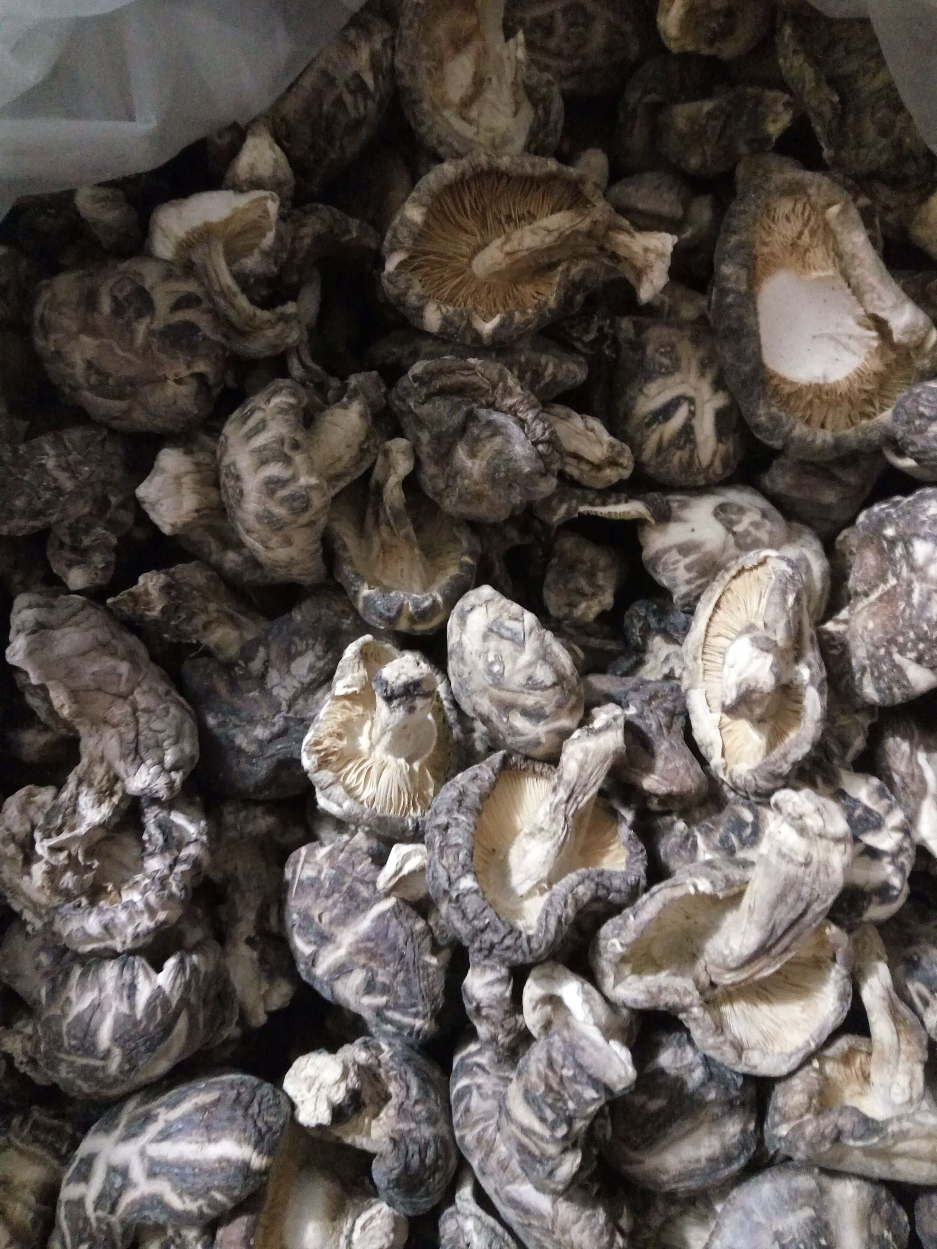 正品[尧山漂流]尧山漂流一日游评测 尧山漂流图