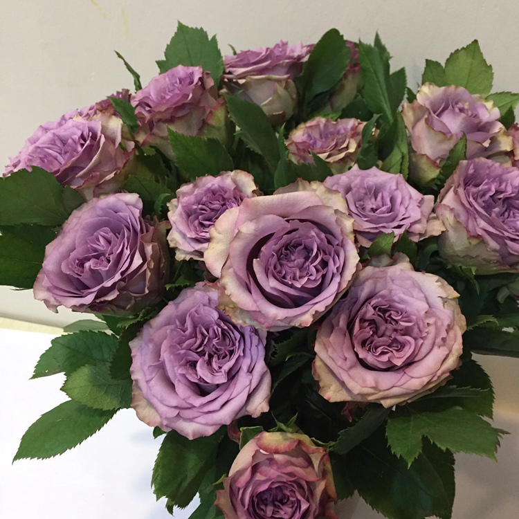 推荐最新广州cosplay摄影 广州cosplay社团信息