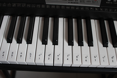 透明电子琴琴贴 61键电子琴键盘贴纸 键位贴纸61键