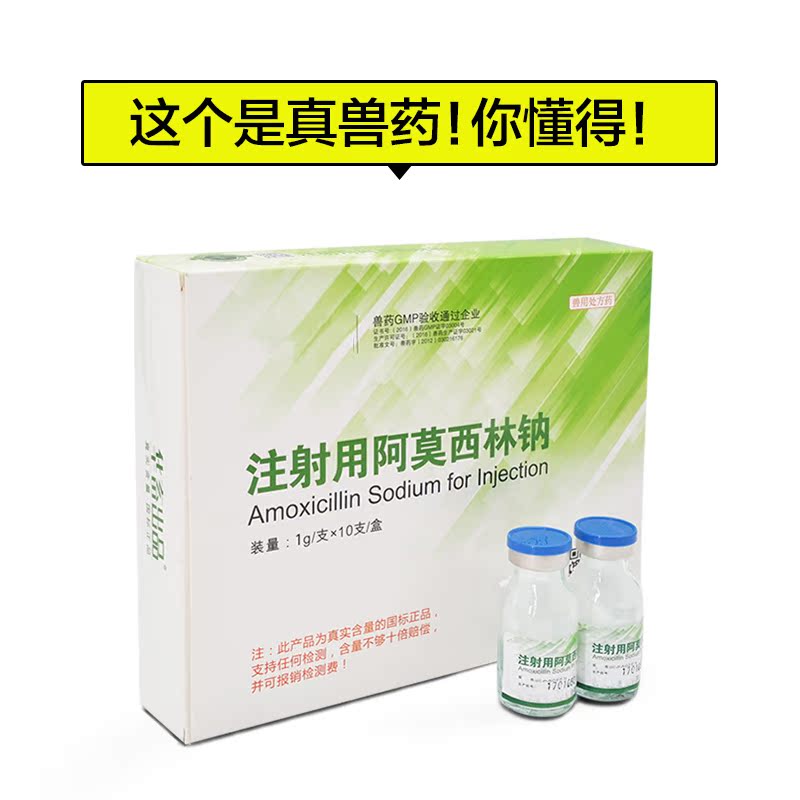 兽药猪用注射用阿莫西林钠1gx10支 兽用猪牛羊用大肠杆菌腹泻拉稀