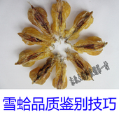 干林蛙油 雪哈油10克 雪蛤膏 雪蛤 雪蛤素 长白山雪蛤油 林蛙油