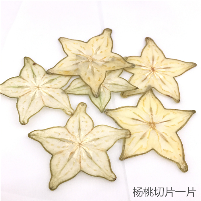 草莓标本 柠檬猕猴桃橙子杨桃水果蔬菜标本 切片diy滴胶水果标本