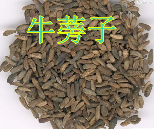 中药材牛蒡子500克 野生大力子/牛蒡子/大粒籽/500克满两斤包邮