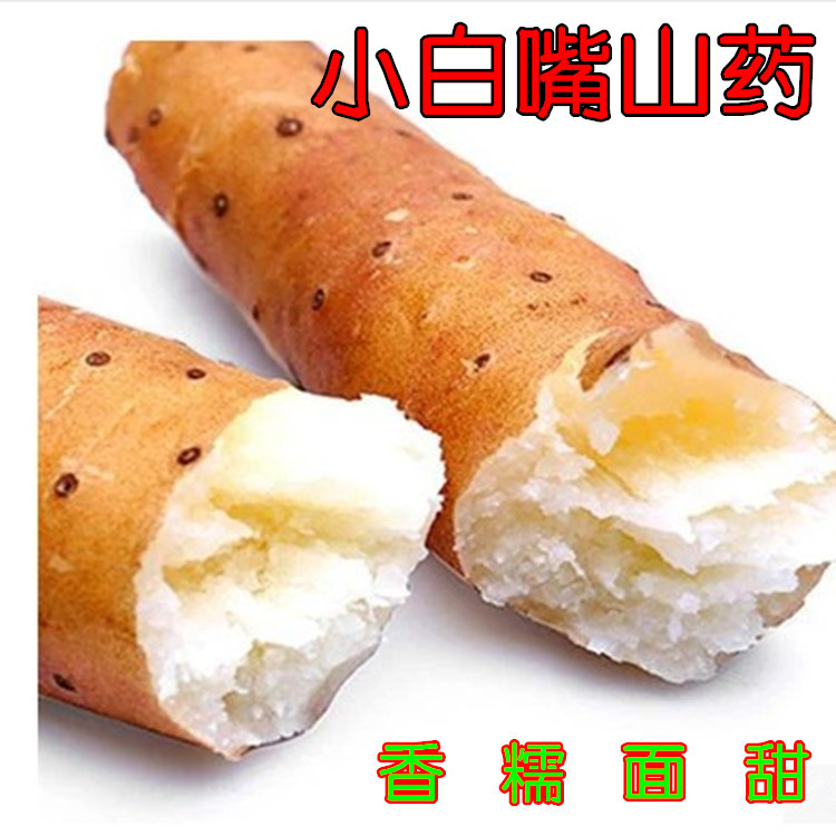 正宗小白嘴山药河北新鲜比垆土铁棍 铁杆淮山药好吃实惠5斤装包邮