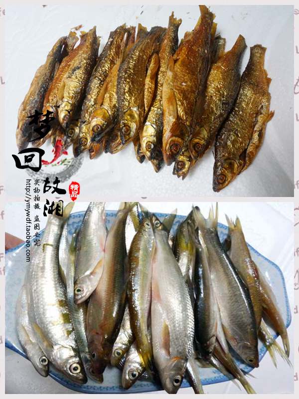 祁阳选子鱼 水库干塘选子鱼红眼鱼 腊鱼味鲜 肉厚祁阳