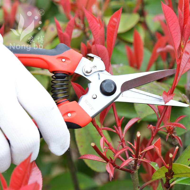 品[果树剪刀]日本果树剪刀评测 果树剪刀品牌图