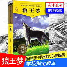 荣获儿童文学多项奖 中小学课外名著 正版假一罚十 狼王梦 全本品藏故事书 包邮 全套集系列 畅销动物小说 沈石溪正版