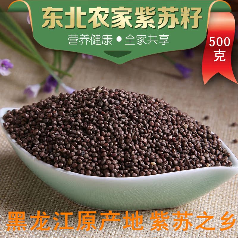 东北特产新鲜紫苏 农家小园种植苏子 食用苏子籽 紫苏种子烧烤料