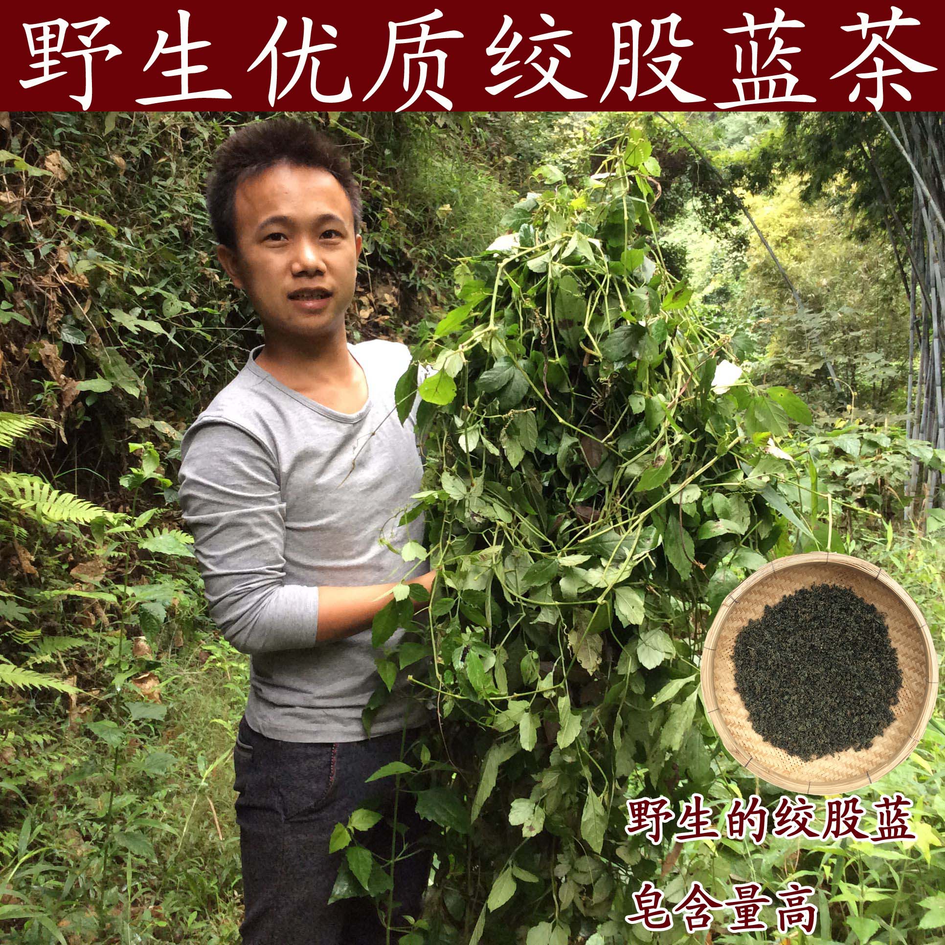 广西野生绞股蓝茶天然非龙须茶绞股蓝养生新茶七叶胶股蓝茶100g