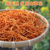 特级北虫草刨子头精选农家蛹虫草干货金北虫草花200g 虫草花正品