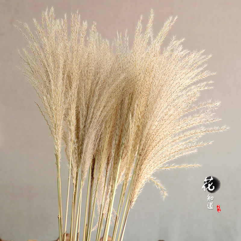 平潭县支付宝安逸花怎么借钱【加▲V信Q同号