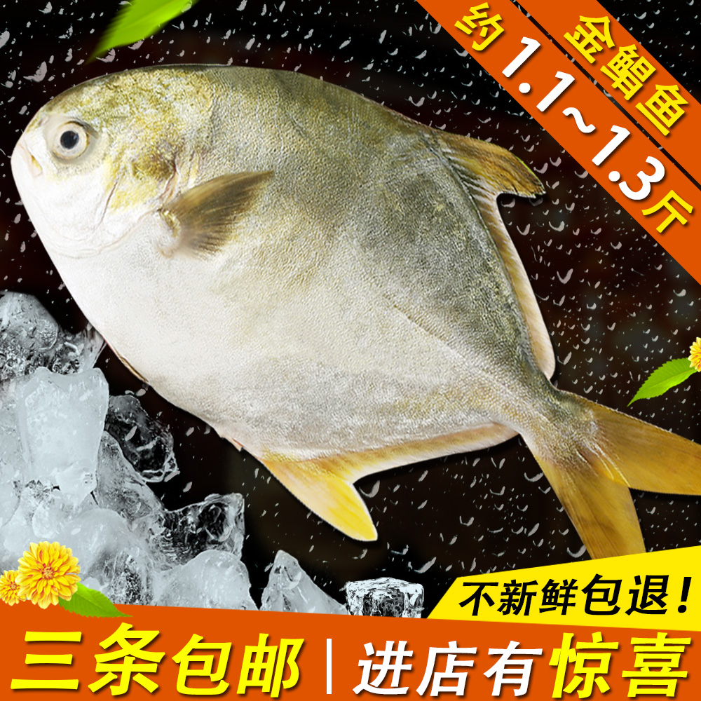 3 ൺҰʴ ʻСƬ ƽ 
