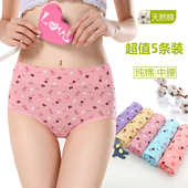 女夏 女纯棉中腰无痕提臀少女士100%全棉质面料三角内裤 内裤 5条装