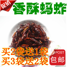 油炸蚂蚱飞蝗蝗虫即食 买3送2 天天特价 包邮 买2送1