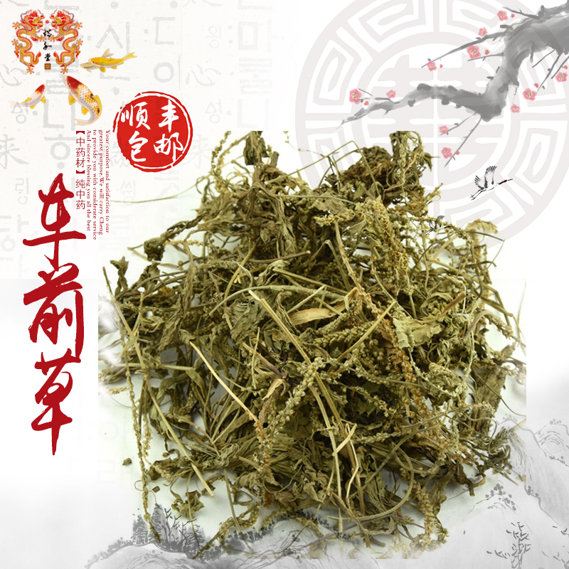 中药材野生车前草车轮菜牛舌草 整棵全草 500g 包邮