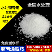 阳离子 非离子污水处理污泥脱水剂 阴离子 絮凝剂 聚丙烯酰胺PAM
