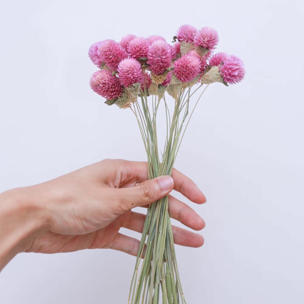 粘接千日红 花束干花 装饰北欧干花真干花创意花束干花花束 客厅