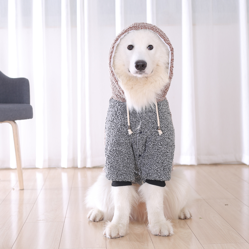 狗狗衣服冬天金毛哈士奇阿拉斯加大型犬棉衣宠物萨摩耶大狗秋冬装