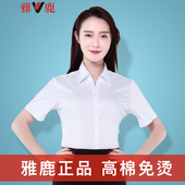 大码 工作服正装 女装 雅鹿白衬衫 韩版 夏职业装 衬衣工装 半袖 女短袖