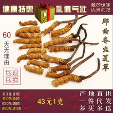 包邮 虫草买10送4 新货正宗大条断草野生西藏那曲冬虫夏草断草正品