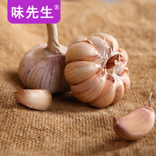 蒜种蔬菜干蒜头5斤 包邮 低价 味先生2017年山东金乡新鲜紫皮大蒜头