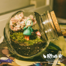 玻璃盆景 苔藓植物鲜活龙猫迷你办公桌摆件 微景观生态瓶创意盆栽