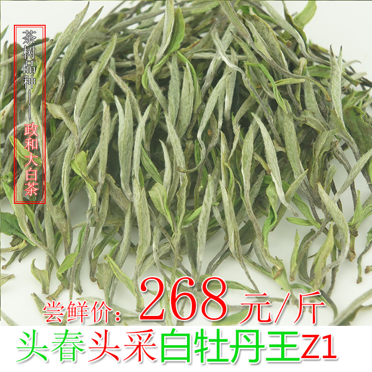 2016年头春茶鼎级政和白牡丹王新茶政和大白茶散茶福鼎白茶包邮