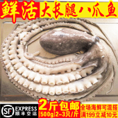 新鲜八带鱼500g 大长腿章鱼 带大米 鲜活海鲜丹东野生长腿八爪鱼