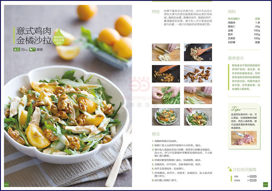 蔬菜水果酸奶沙拉制作书 低热量养生蔬果沙拉食谱菜谱书