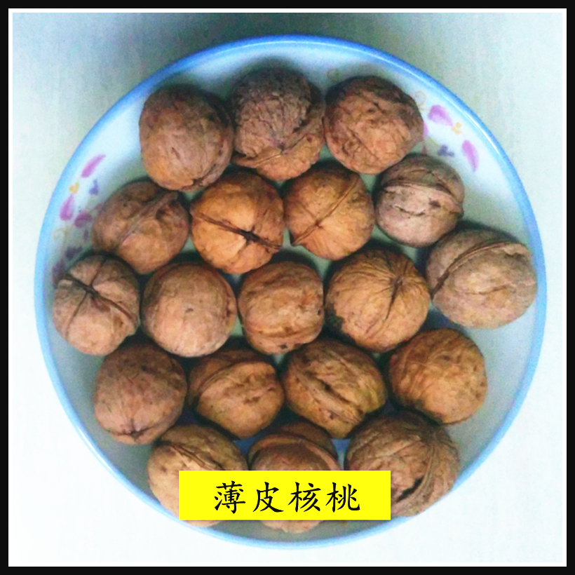 正品[人工智能 豆瓣]人工智能豆瓣影评评测 人工