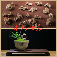菖蒲用石 多肉植物附石 苔藓附石 微型盆景造景石 菖蒲附石专用