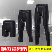 篮球裤 透气压缩裤 男速干训练健身裤 打底裤 弹力7分裤 pro运动紧身裤