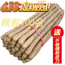 5斤产地直发 铁杆铁棒 正宗河南焦作新鲜怀淮山药 温县铁棍山药