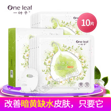 一叶子山茶花面膜女补水美白保湿提亮肤色旗舰店官网正品蚕丝面膜