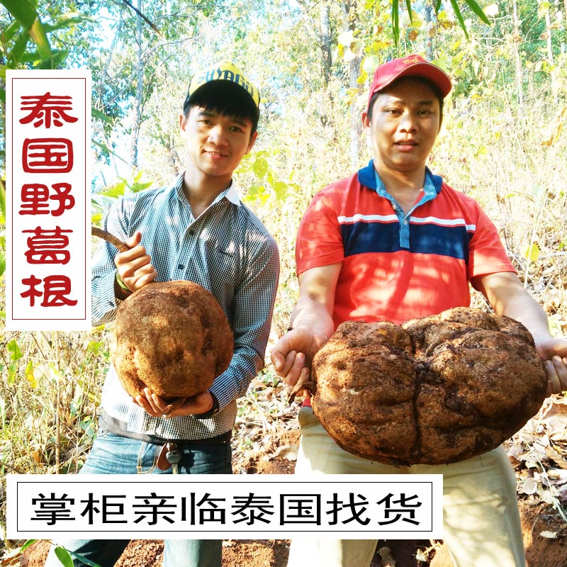 原装进口泰国野葛根粉 正宗野生白高颗纯天然原粉 宜配青木瓜粉