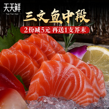 500g新鲜日式料理鱼生 冰鲜三文鱼拼盘生鱼片 进口三文鱼刺身中段