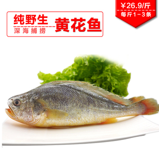 ȻҰӰʻС䶳ʺˮ5