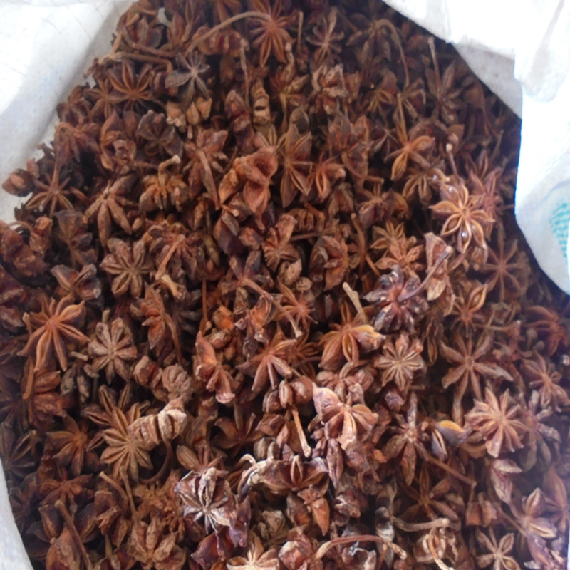 广西大红八角 大茴香 水烫无硫 自晒香料调味料 1件250g包邮